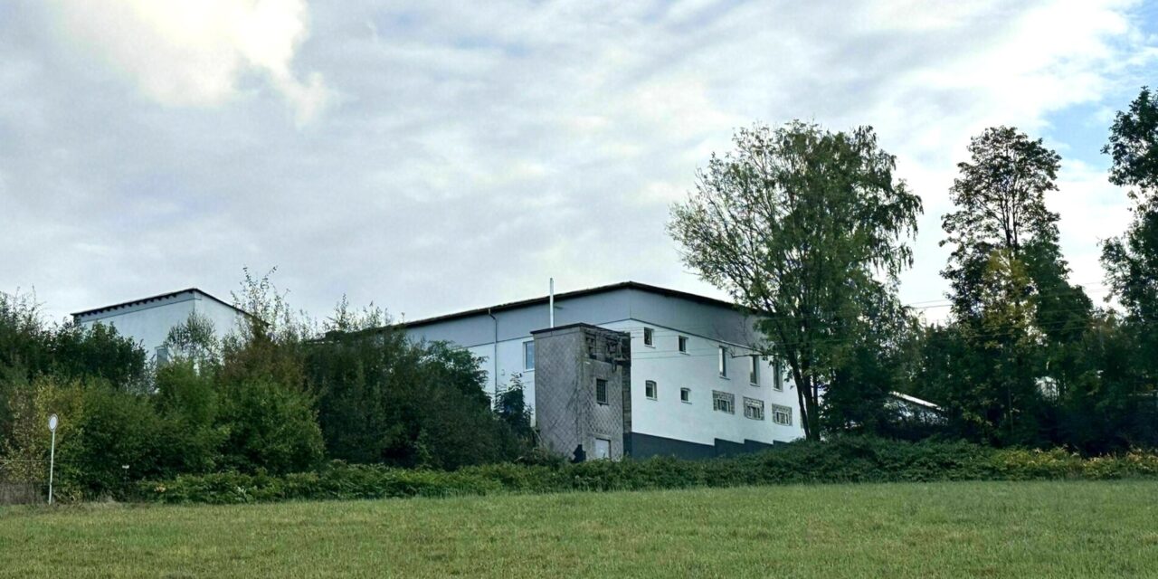 Rechtsextremes Zentrum – Wo die AfD den III. Weg trifft